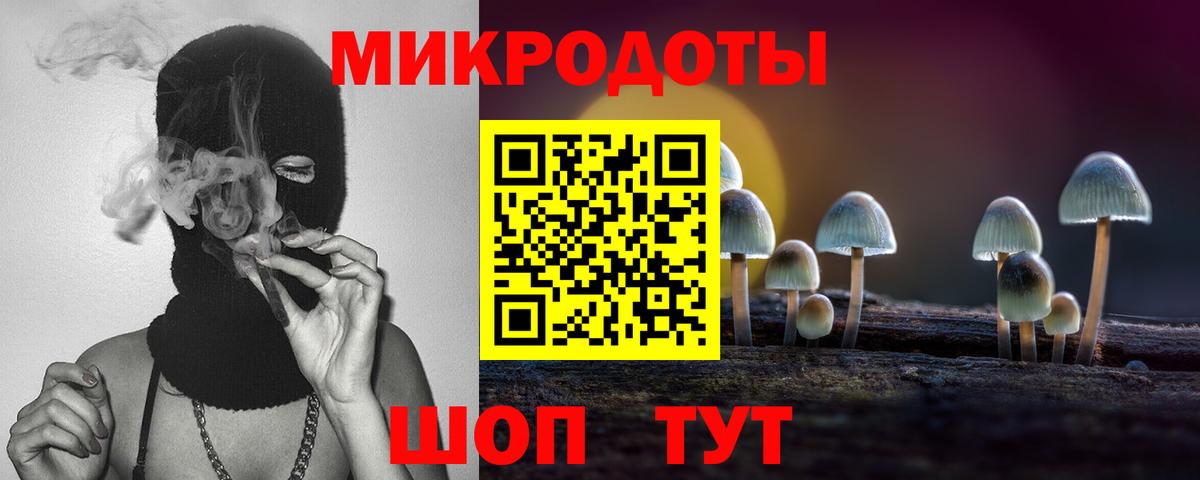 Галлюциногенные грибы Cubensis Лесосибирск